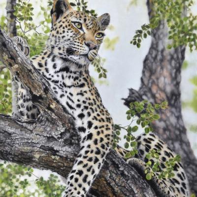 Photo d'une oeuvre de Fabrice LEDUC - Artiste pastelliste