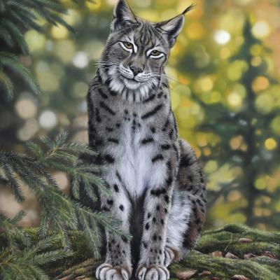 Pastel de Fabrice LEDUC