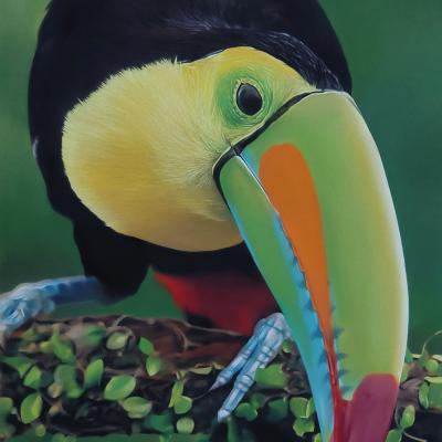 Pastel de Isabelle ANIOLA