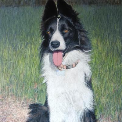 Photo d'une oeuvre de Michel BORDAS - Artiste pastelliste