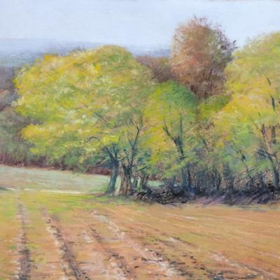 Pastel de Aurore PUIFFERRAT
