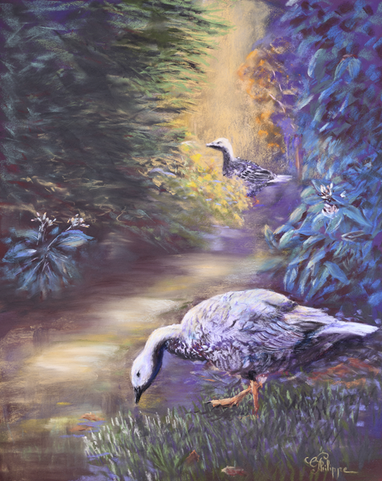 Christine Philippe Artiste Pastelliste Soci t Des Pastellistes De Christine Philippe Artiste Pastelliste Soci t Des Pastellistes De