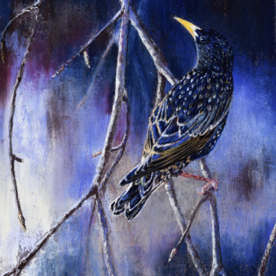 Pastel de Christine Philippe