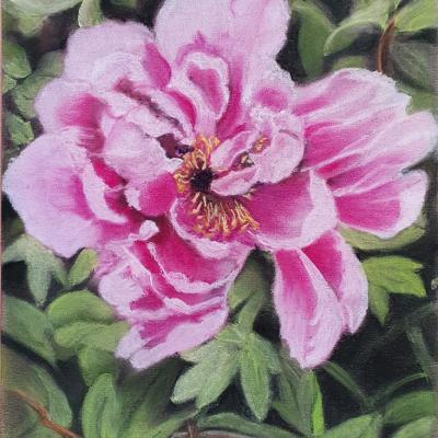 Pastel de Danièle Trierweiler