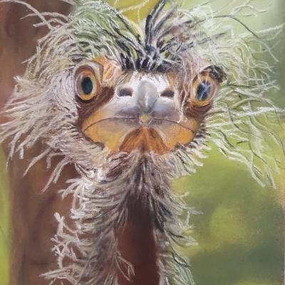 Pastel de Danièle Trierweiler