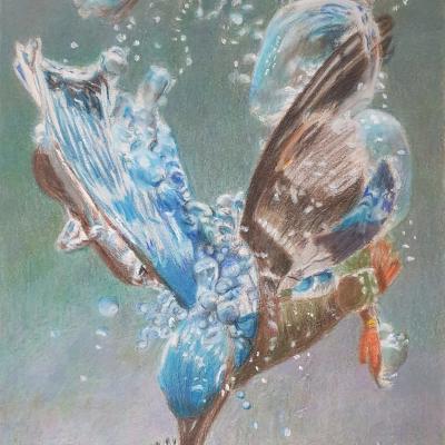 Pastel de Danièle Trierweiler