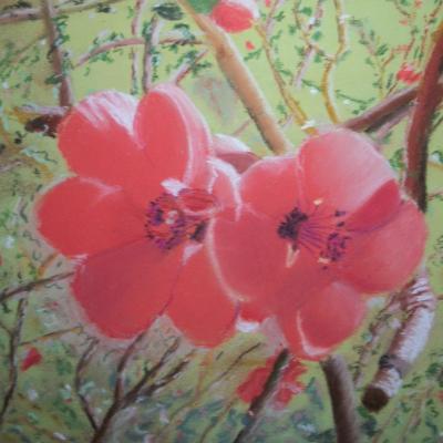 Pastel de Danièle Trierweiler