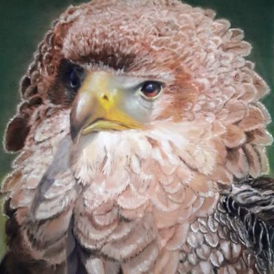 Pastel de Danièle Trierweiler