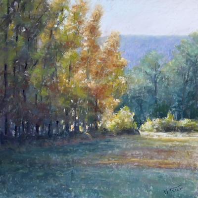 Pastel de Martine Tulet