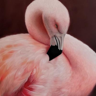 Pastel de Myriam Schotté