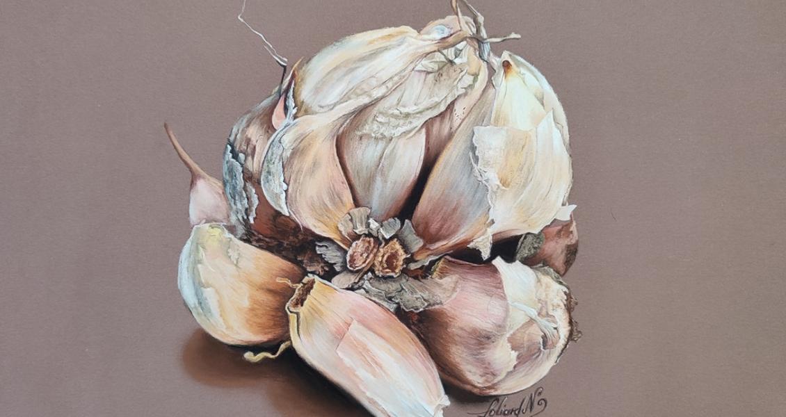 Nathalie RECOCHE-FOLIARD
