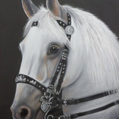 Pastel de Pascale Perrot