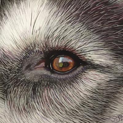 Pastel de Pascale Perrot
