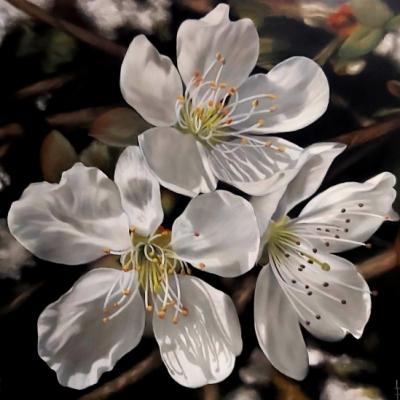 Pastel de Philippe CLEREMPUY