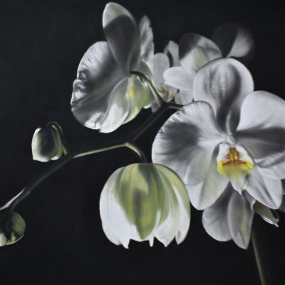 Pastel de Philippe CLEREMPUY