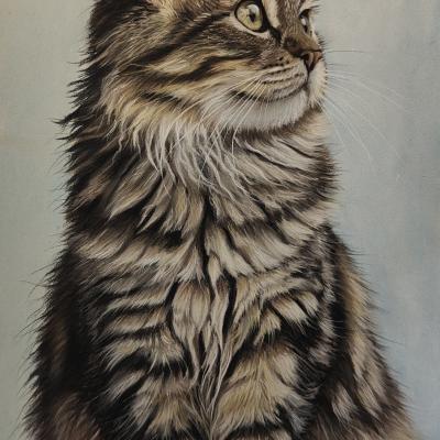 Pastel de Sandra BOUSCARLE