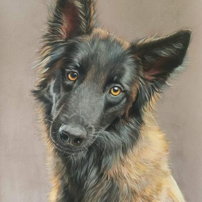 Pastel de Sandra BOUSCARLE