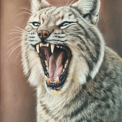 Pastel de Sandra BOUSCARLE