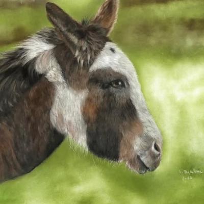 Pastel de Sylvie Magdeleine