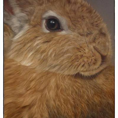 Pastel de Sylvie Magdeleine