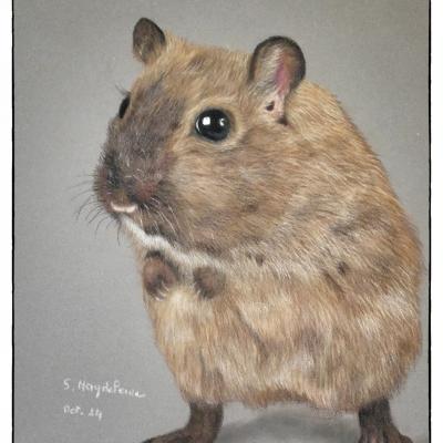 Pastel de Sylvie Magdeleine