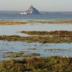 Image de : Stage dans la baie du Mont St Michel - 