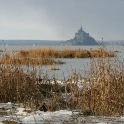 Image de : Stage dans la baie du Mont St Michel - 