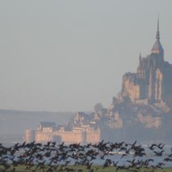 Image de : Stage dans la baie du Mont St Michel - 